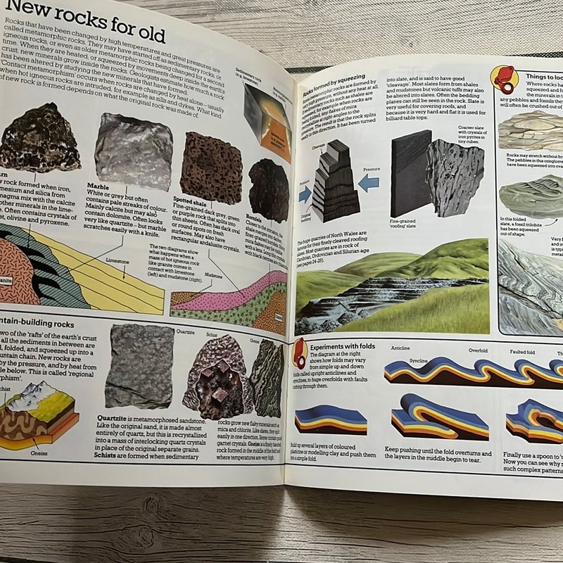 Rocks and Fossils