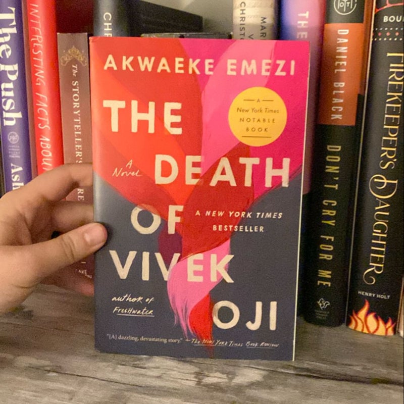 The Death of Vivek Oji