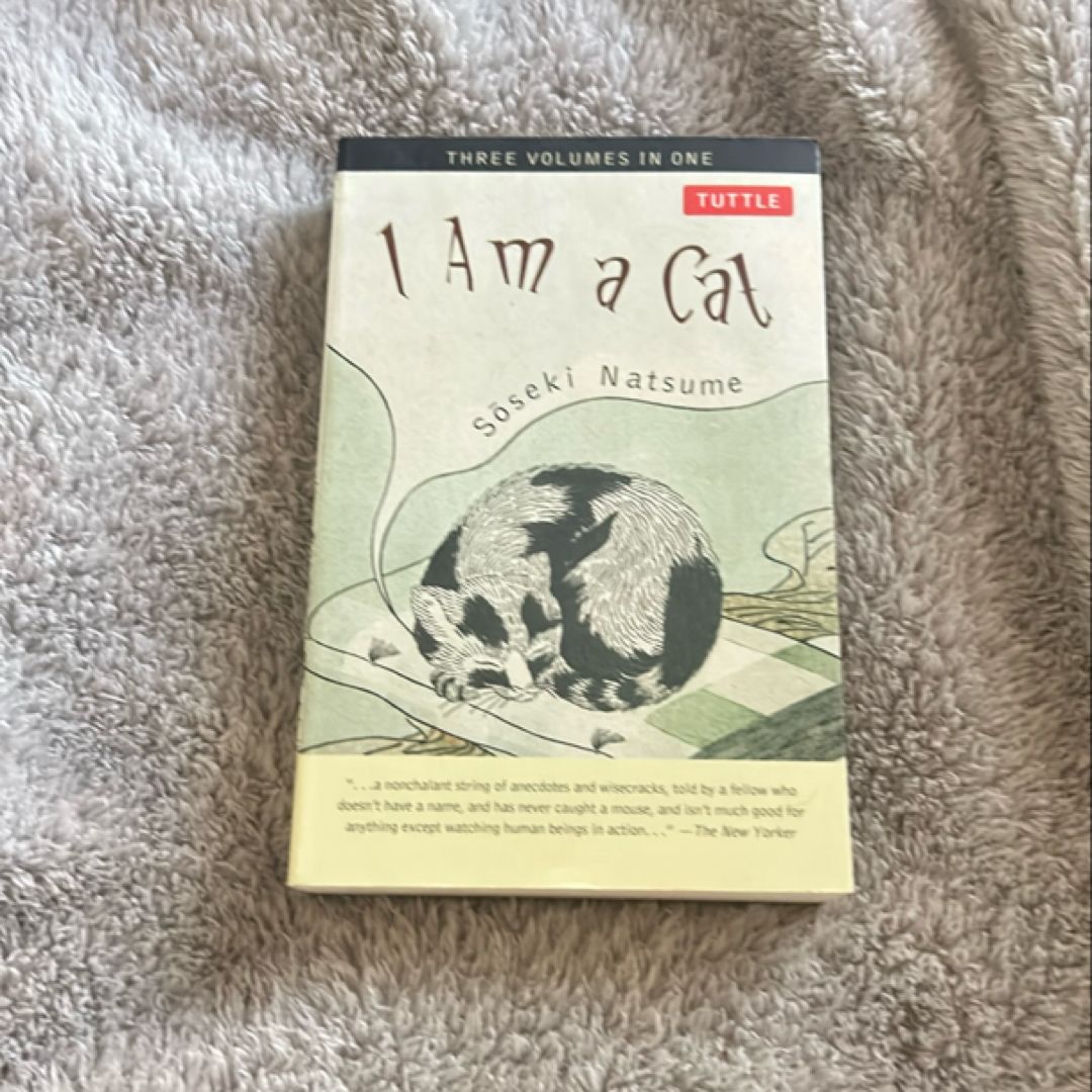 Sale image for bbbabce5-73b6-4438-9e85-044893b51428-6TBFbaxPBvatpSYQIBnTjnBmyEY2