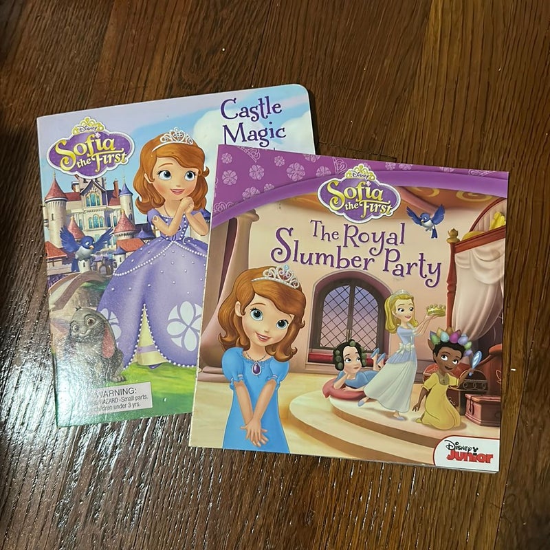 Bundle of 2 Sofia the First Children’s Books