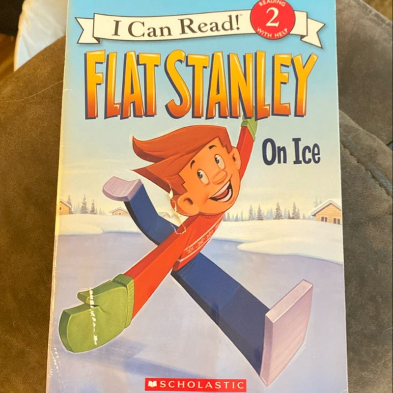 Flat Stanley on ice