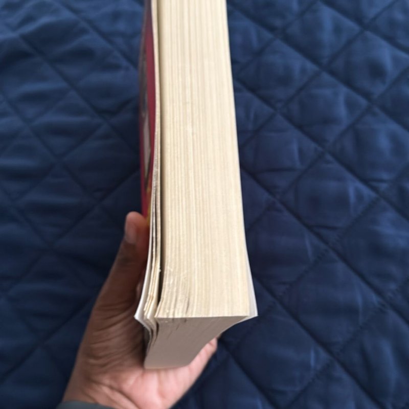 The Housemaid's Secret