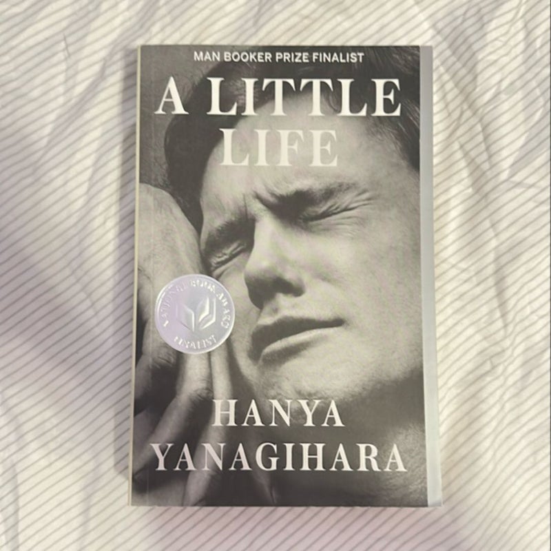 A Little Life