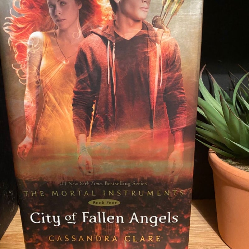 City of Fallen Angels