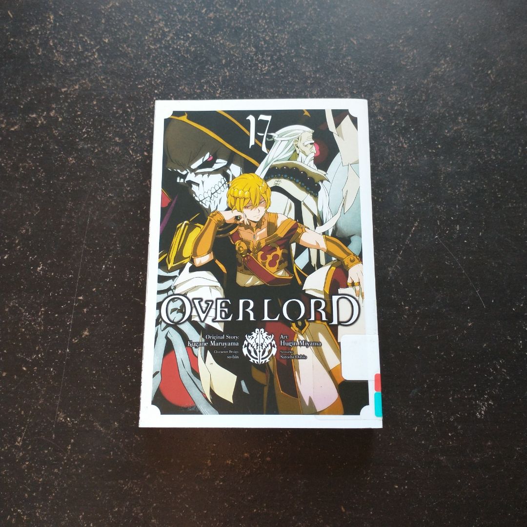 Overlord, Vol. 17 (manga)