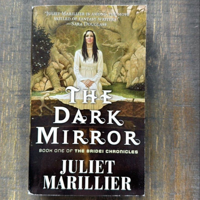 The Dark Mirror