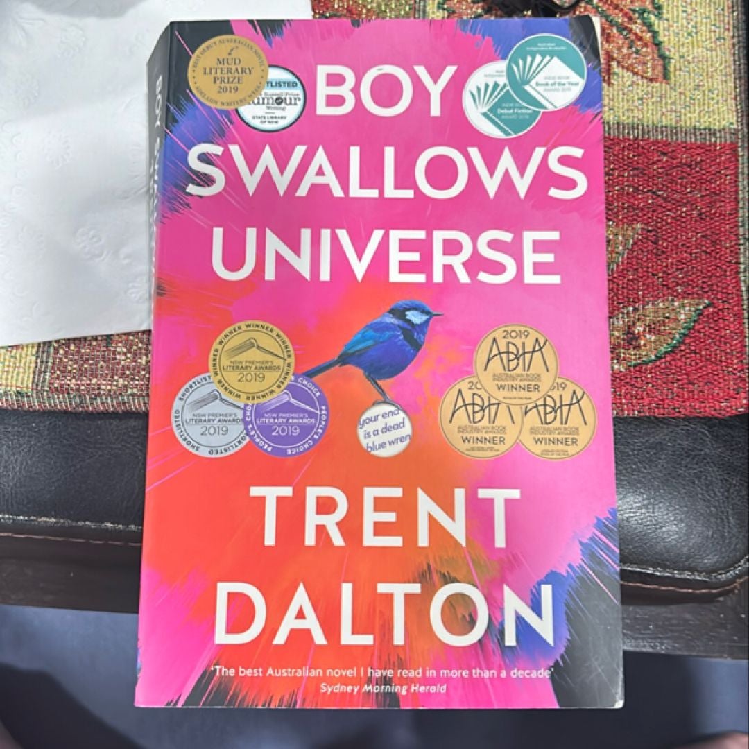 Boy Swallows Universe