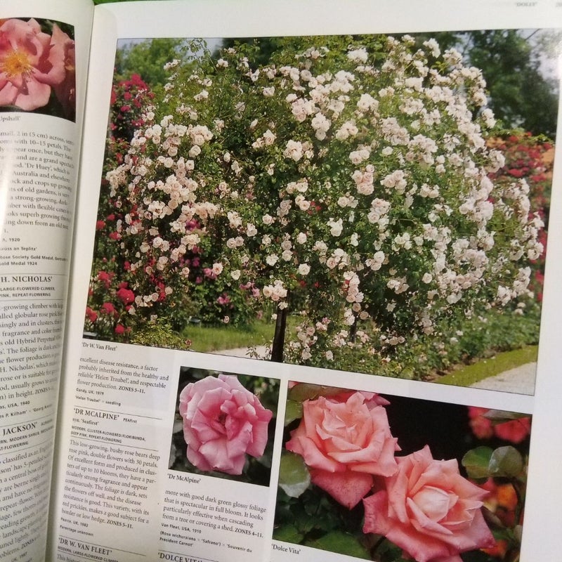 Botanica's Roses (7.35 lbs)