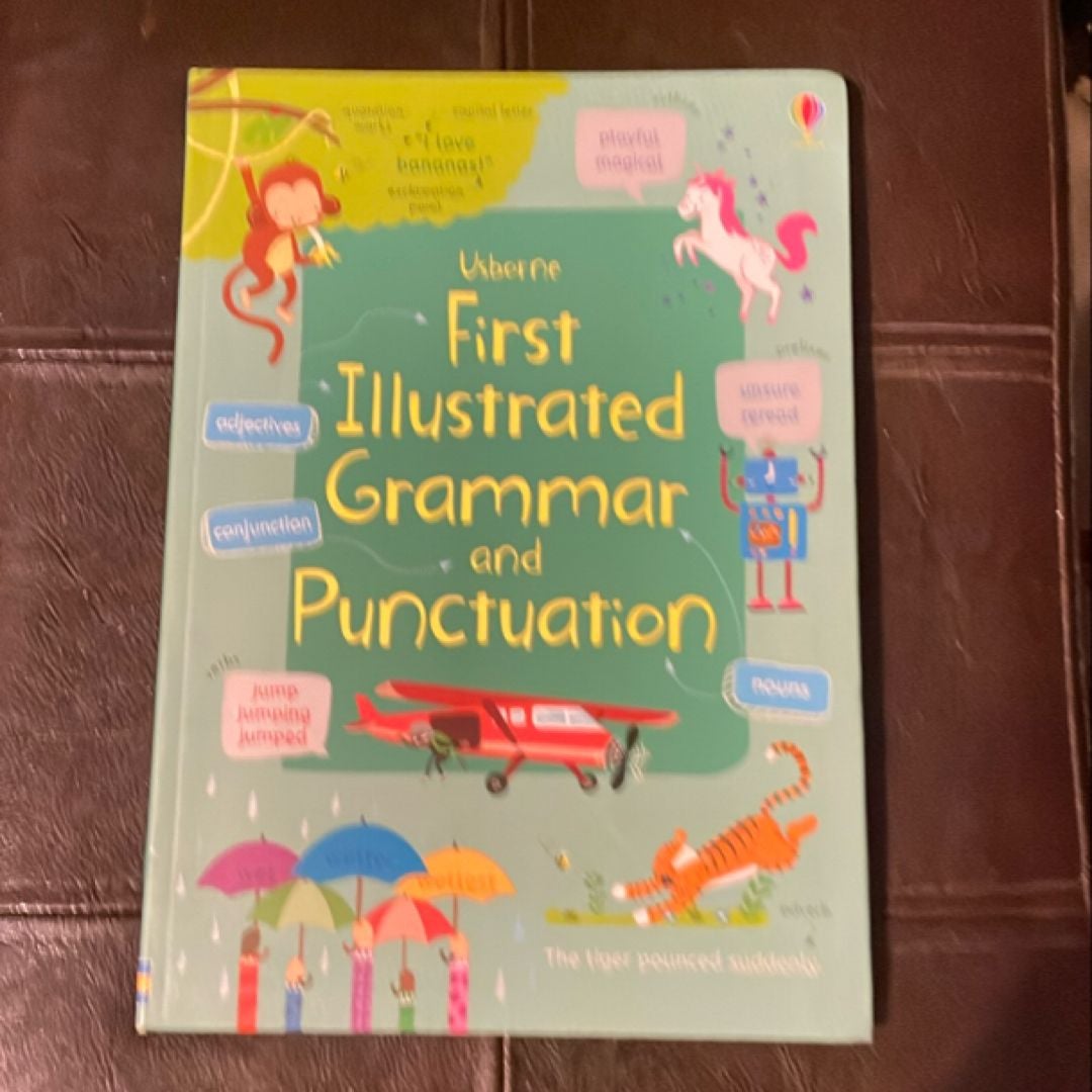 First Illustrated Grammar and Punctuation IR