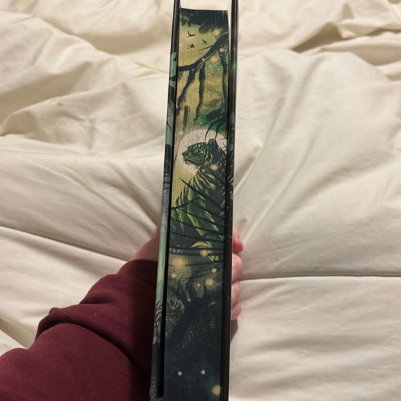 The Prince Without Sorrow