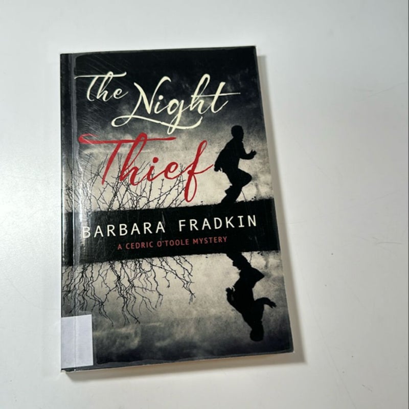 The Night Thief