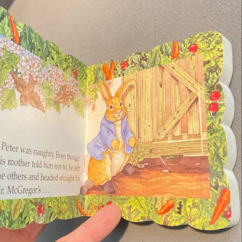 Peter Rabbit Mini Book