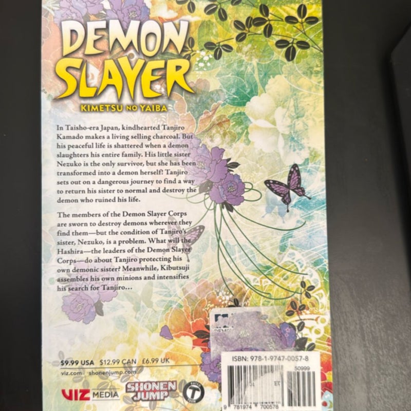 Demon Slayer: Kimetsu No Yaiba, Vol. 6