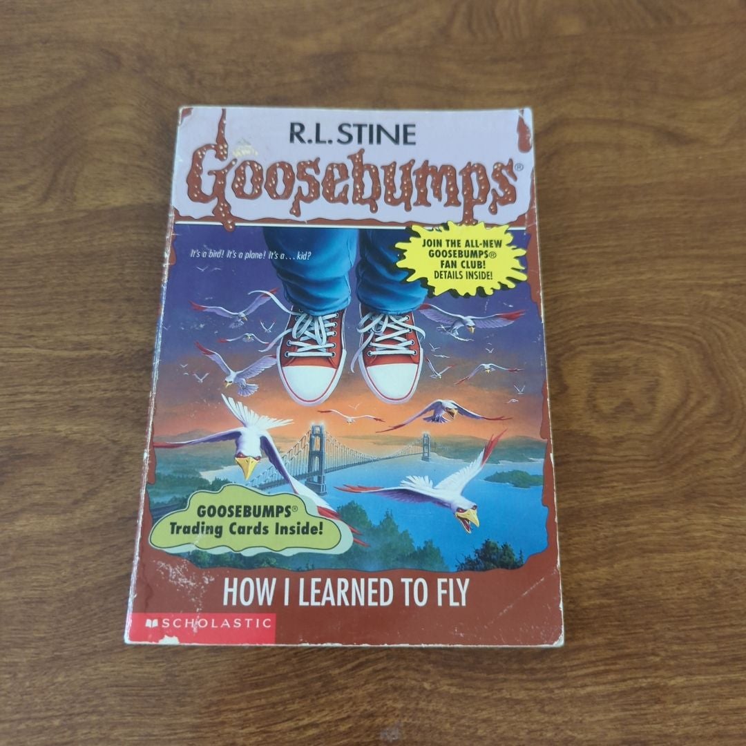 How I Learned to Fly