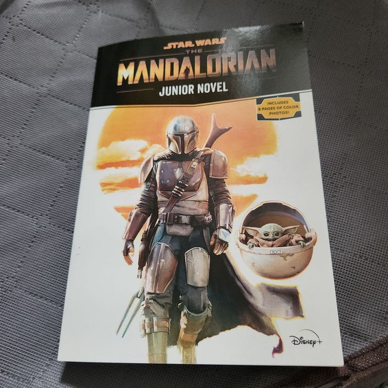 Star Wars: the Mandalorian Junior Novel