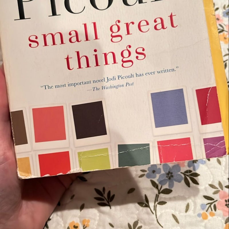 Small Great Things