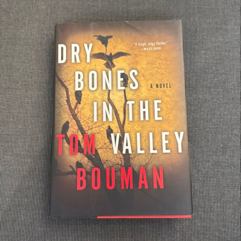 Dry Bones in the Valley