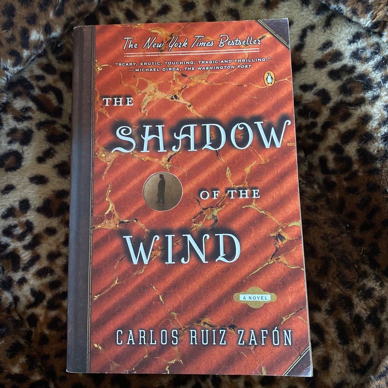 The Shadow of the Wind