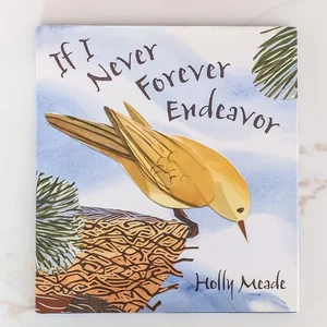If I Never Forever Endeavor