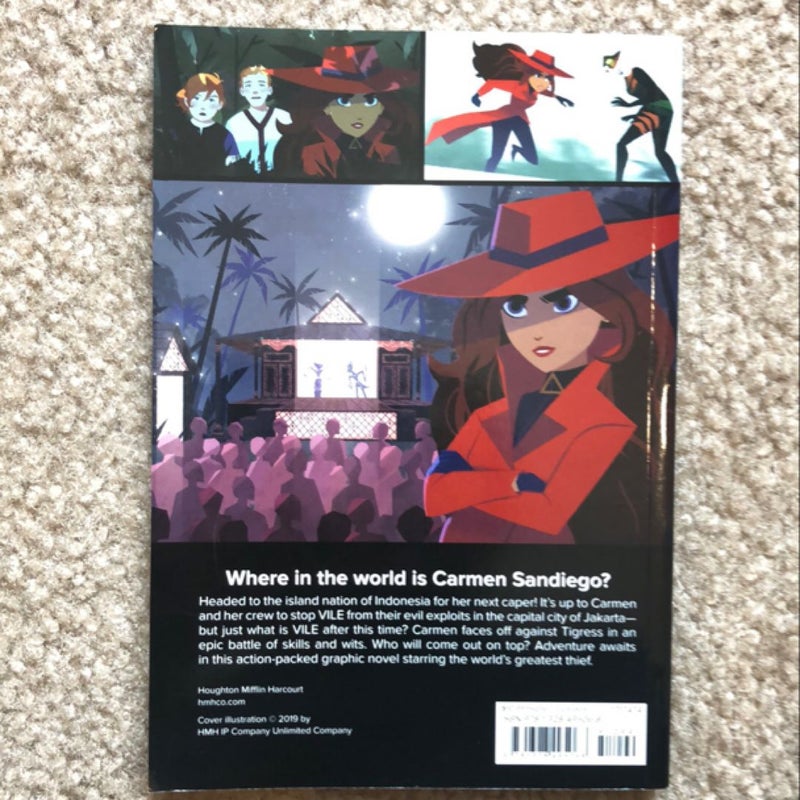 Carmen Sandiego Book Bundle