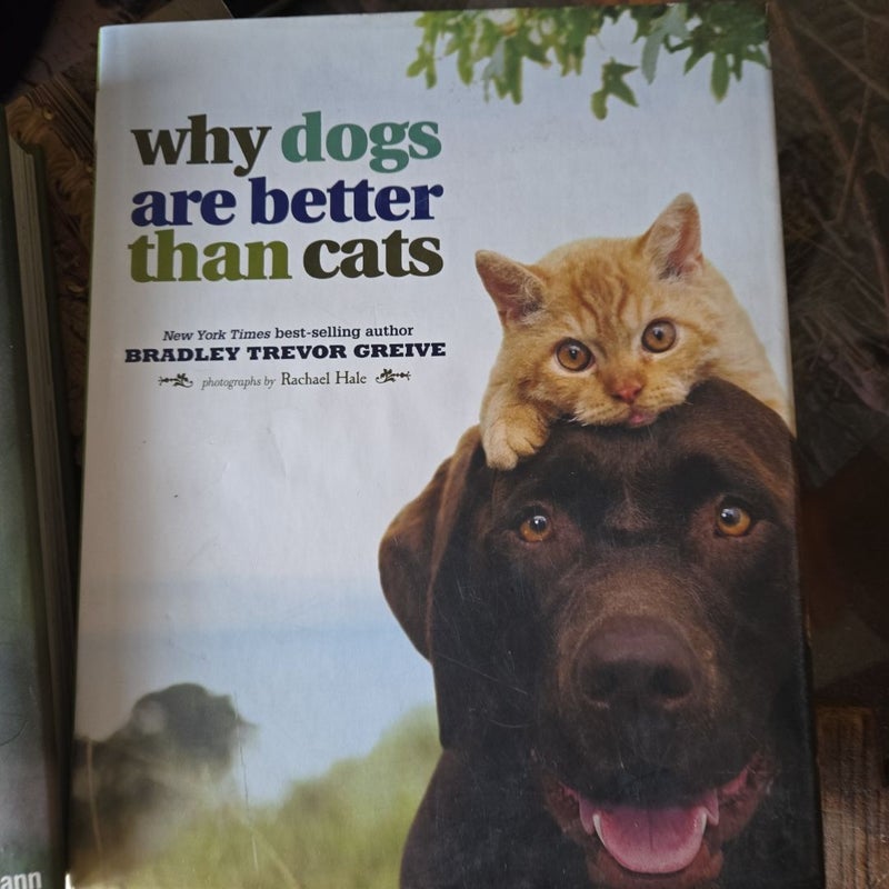 Why Dogs Are Better Than Cats