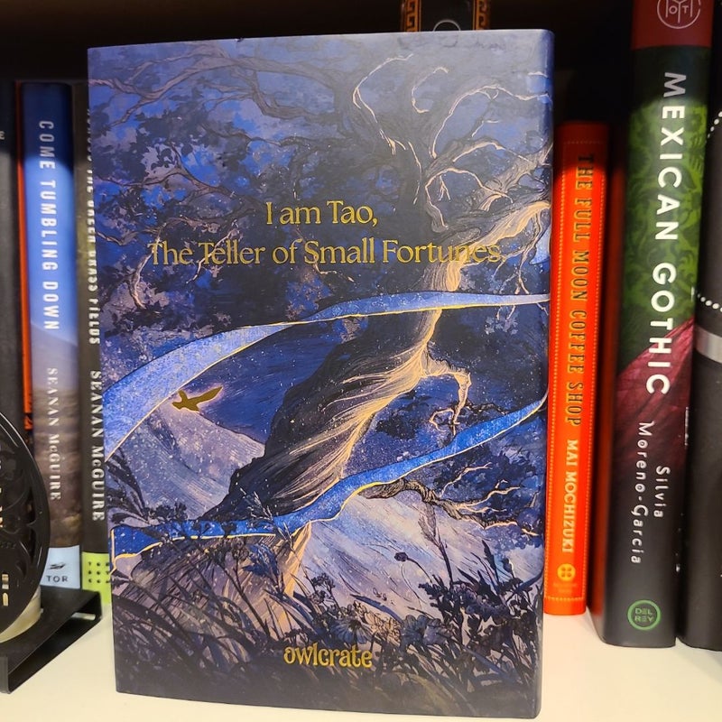 The Teller of Small Fortunes