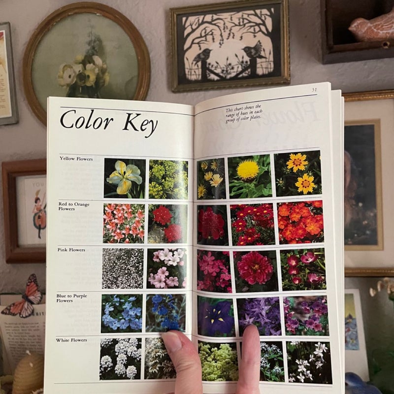 Taylor's Guide to Perennials