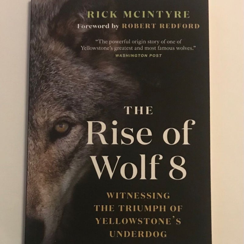 The Rise of Wolf 8