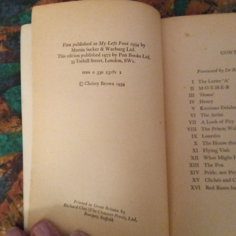 The Childhood Story of Christy Brown