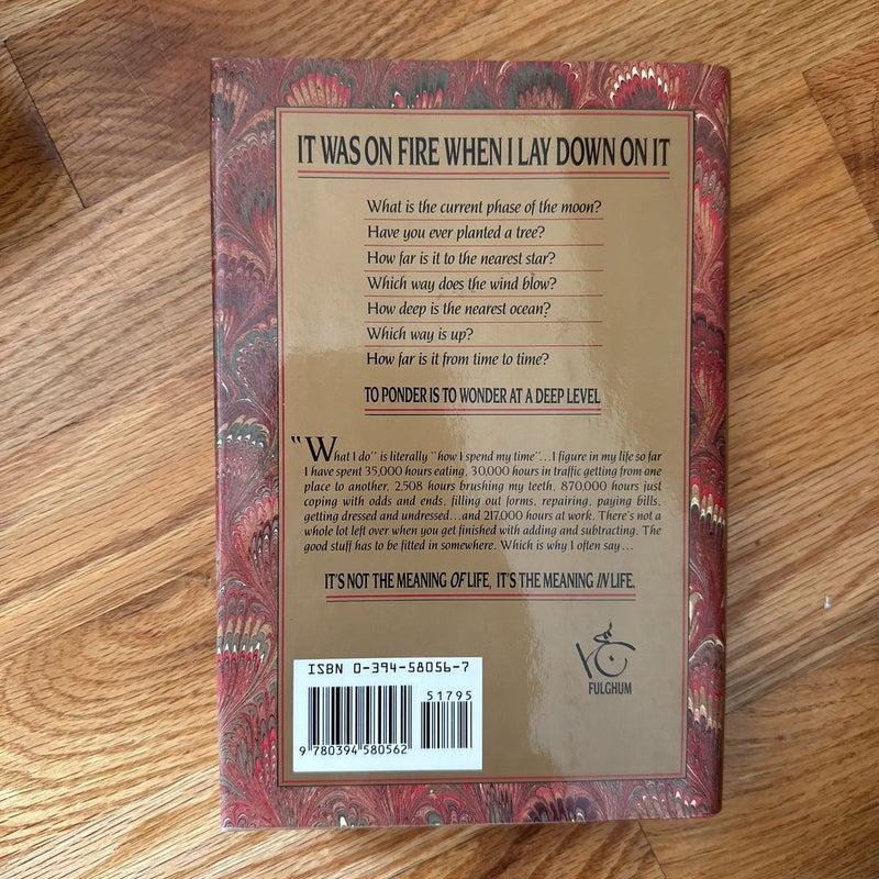 It Was on Fire When I Lay down on It