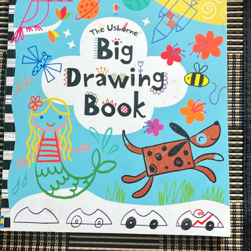 Big Drawing Book