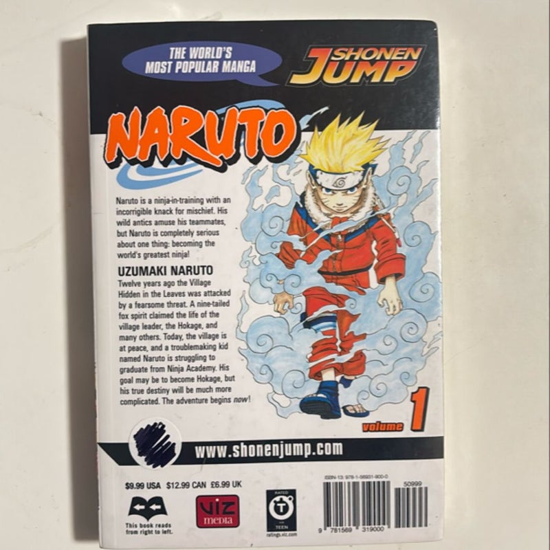 Naruto, Vol. 1