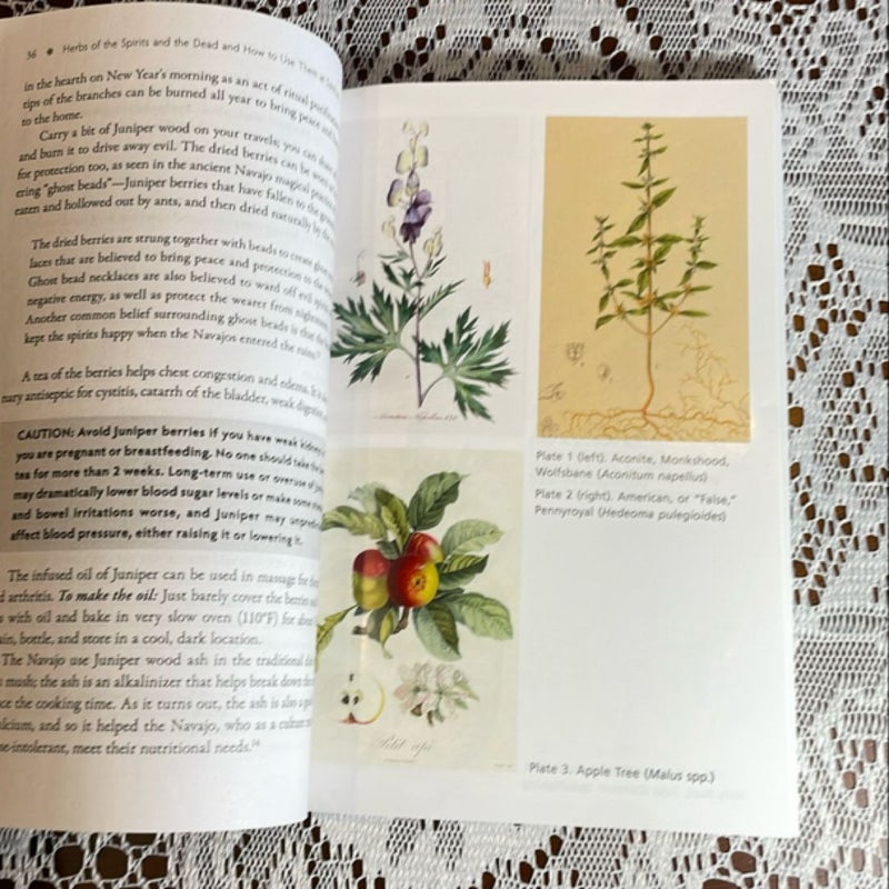The Sacred Herbs of Samhain