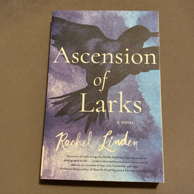 Ascension of Larks