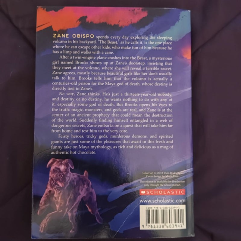 The Storm Runner