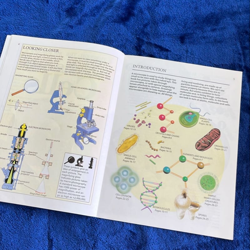 Through the Microscope by Lionel Bender, Paperback | Pangobooks