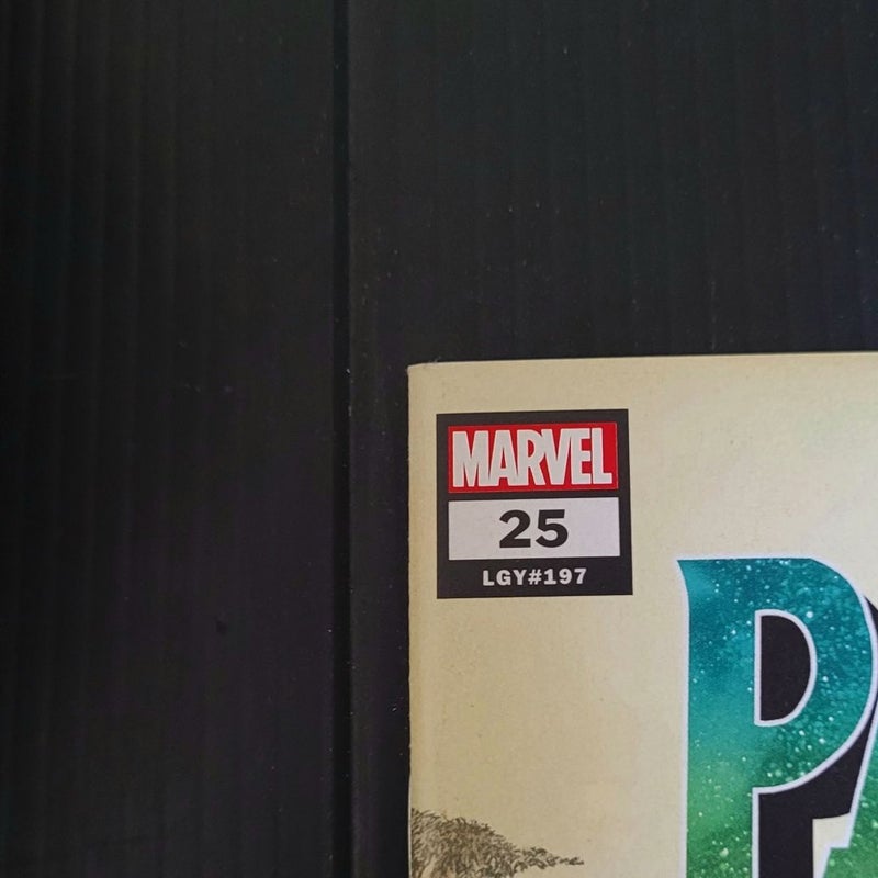 Black Panther #25