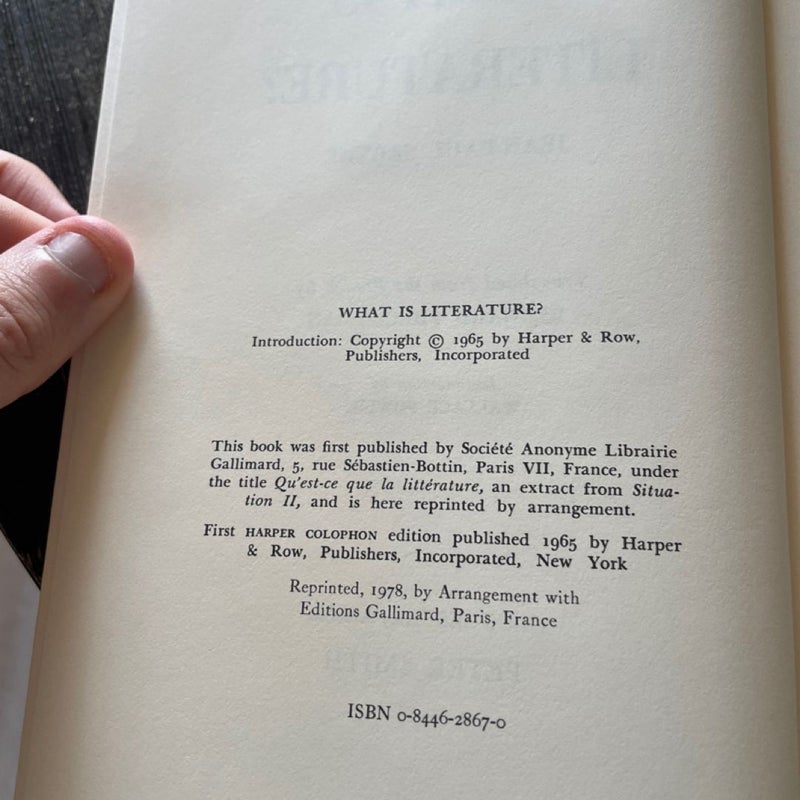 What is literature? Philosophy Essays 