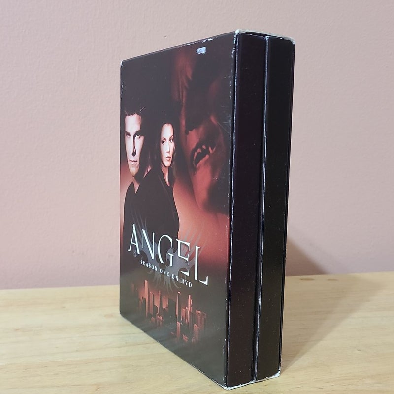 Angel (Season 1, DVD set) 