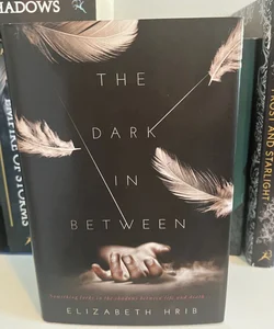 The Dark In-Between