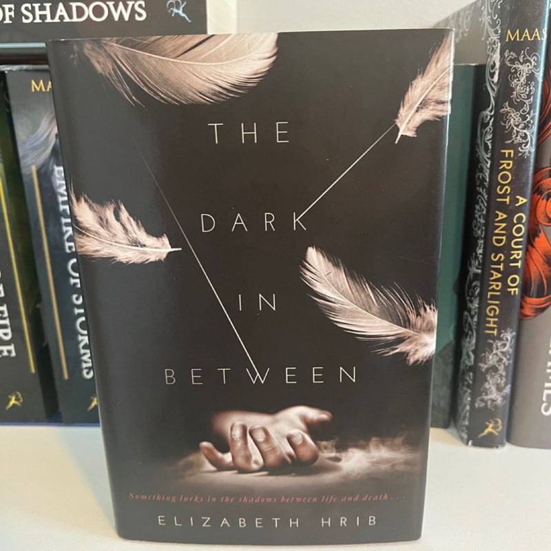 The Dark In-Between