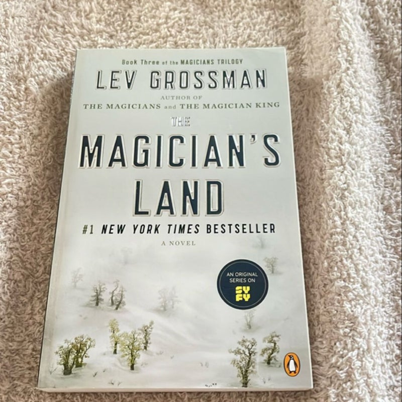 The Magician's Land