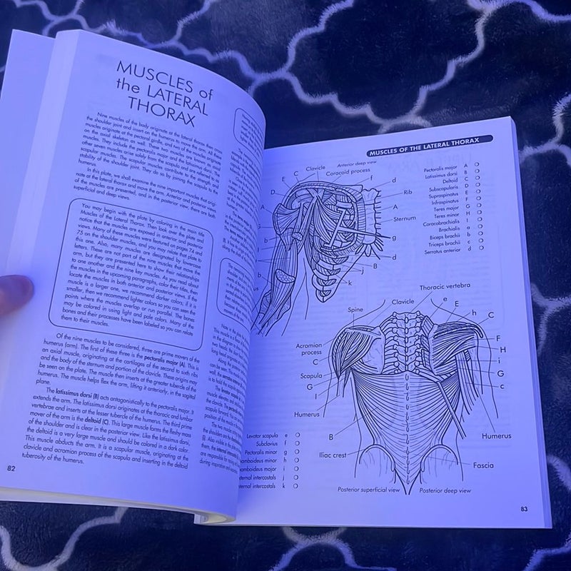 Anatomy Coloring Workbook