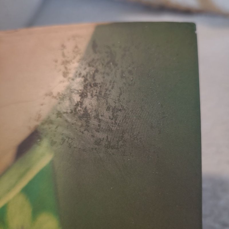 The Valley of Amazement