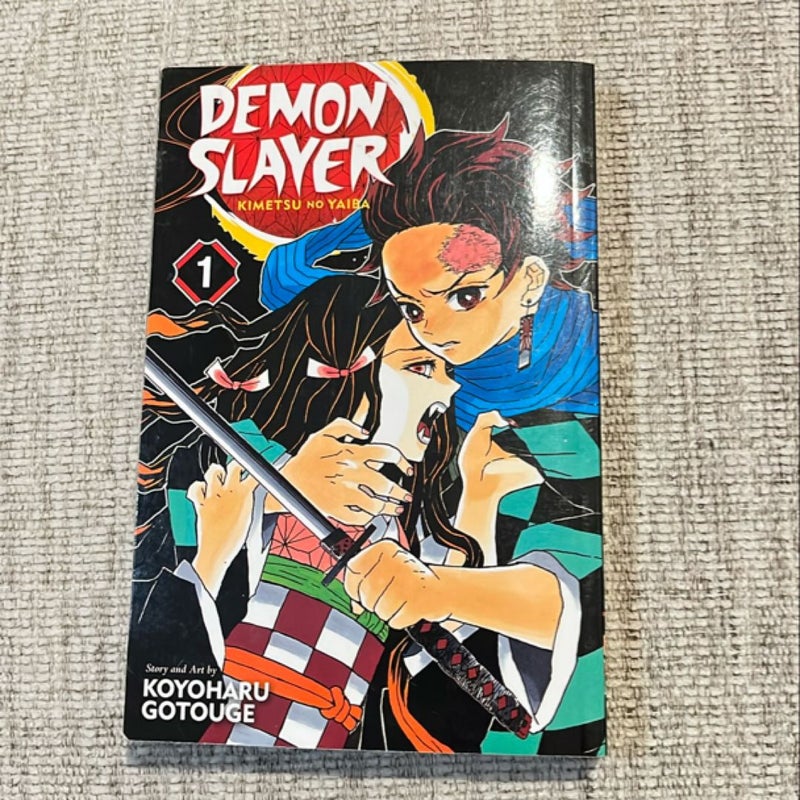 Demon Slayer: Kimetsu No Yaiba, Vol. 1