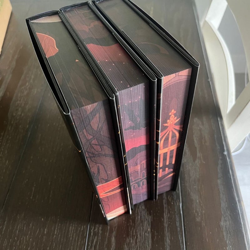 Bookish Box Flesh and Fire series