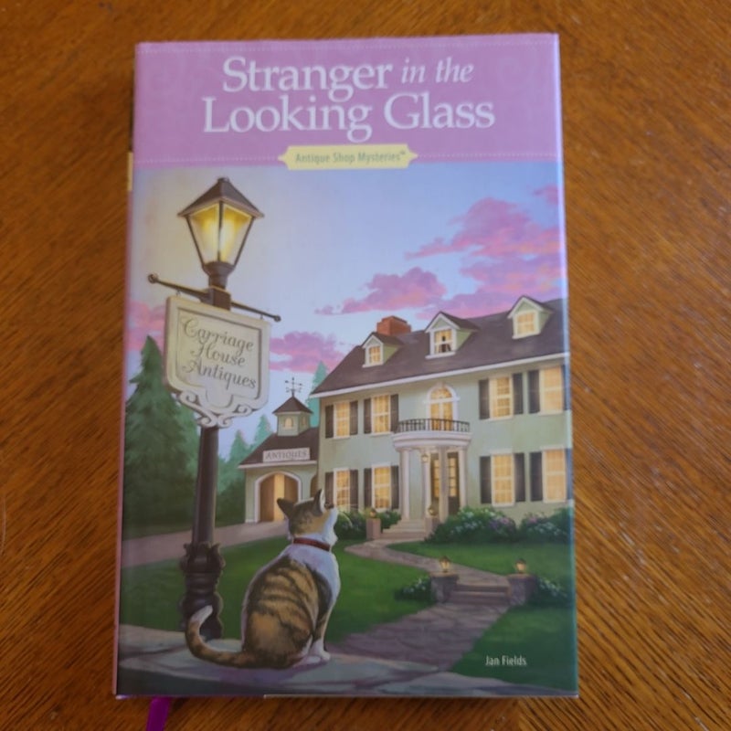 Stranger in the Looking Glass
