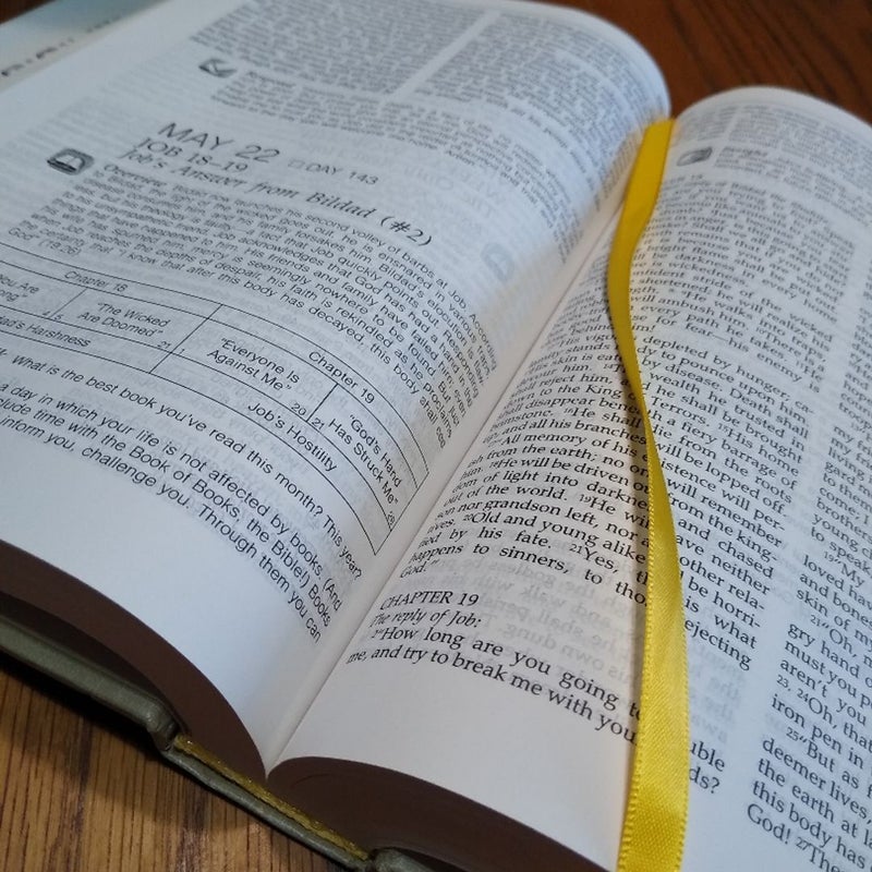 ⭐ The Daily Walk Bible