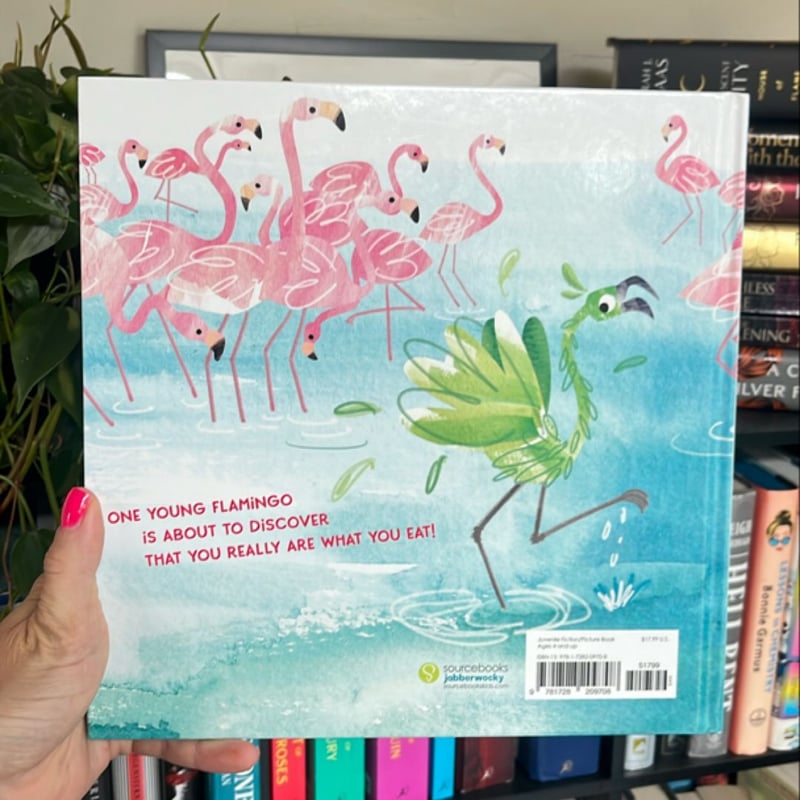 Fussy Flamingo by Shelly Vaughan James, Hardcover | Pangobooks
