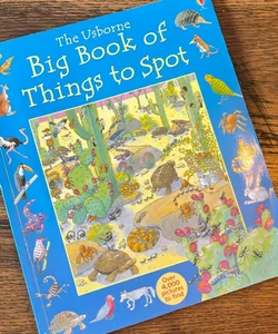 Usborne big book of things to spot